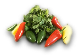 �C���[�W�ʐ^